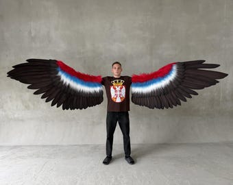 Gigantische adelaarsvleugels, op maat gemaakte vogelvleugels, grote podiumkostuumvleugels, kostuum voor optredens, wedstrijden, festivals, theater, cosplay