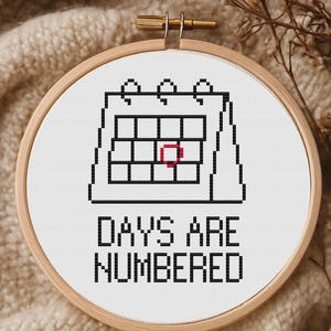 Days Are Numbered Cross Stitch Pattern, Calendar PDF, Office Desk Gift, Pattern Keeper