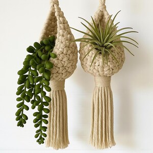 May include: Two beige macrame plant hangers, each with a woven basket design. One contains cascading green faux succulents, the other a green air plant. Both have long, matching tassels, perfect for adding a touch of bohemian style to any space.