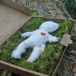 Skyddsfodral med dagyde, care doll / intention doll med protokoll