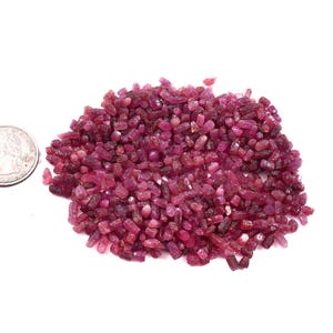 May include: A pile of small, rough-cut ruby gemstones in varying shades of red and pink. The gemstones are scattered on a white surface, with a US quarter coin for size comparison. The rubies have a natural, unpolished appearance.