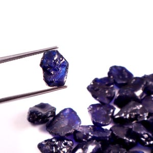 May include: A close-up of a deep blue, rough-cut gemstone held by tweezers, with a pile of similar stones in the background. The gemstones have a natural, irregular shape and a glossy surface, reflecting light. The gems are on a white background.
