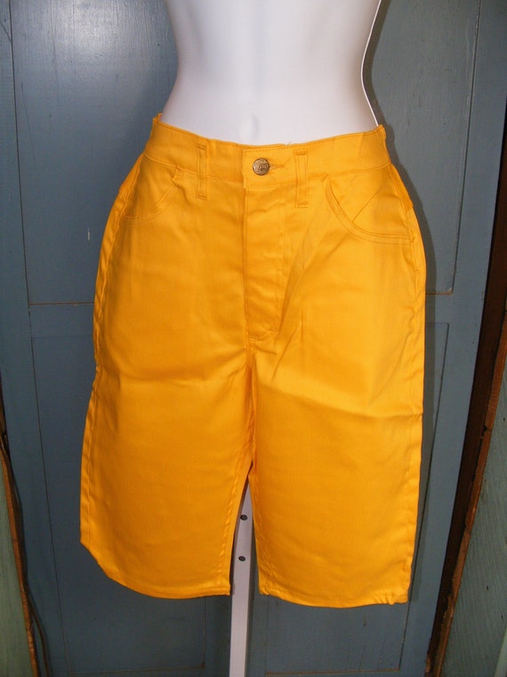 1960s Shorts Lady Lee Knee Knockers Stretch Sunflower… Gem