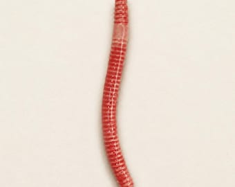 Ceramic Worm Straw, Funny Earthworm Drink Straw, Novelty Coffee Accessory, Weird Gift