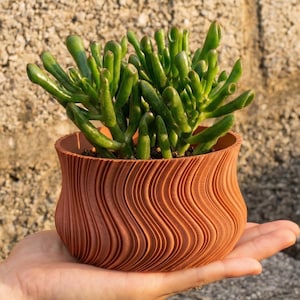 Puede incluir: Una pequeña maceta de color terracota con un patrón ondulado que contiene una planta suculenta verde. La maceta se sostiene en una mano, mostrando el diseño texturizado y el verde vibrante de la planta. La maceta tiene aproximadamente 10 cm de diámetro.
