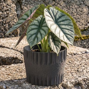 Moderne geribbelde bloempot STL-bestand | 3D-print plantenbak voor woondecoratie