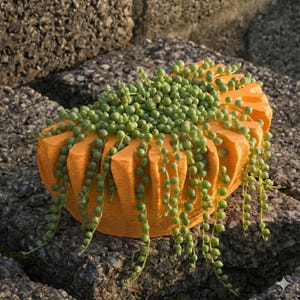 Doniczka wisząca w kształcie półksiężyca, plik STL | Doniczka drukowana w 3D do wystroju domu