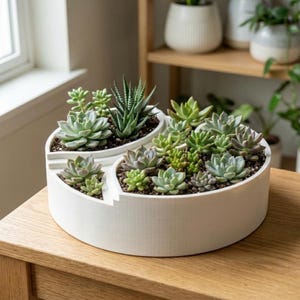 Peut inclure: Un pot blanc à plusieurs sections rempli de diverses succulentes. Le pot est circulaire avec un design unique en gradins, présentant une variété de plantes succulentes vertes et gris-vert. Le pot est posé sur une surface en bois.