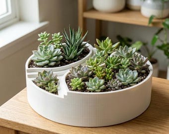 Vaso per piante grasse a strati STL + file 3MF / Vaso da fiori con stampa 3D per decorazioni per la casa