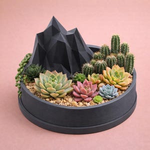 May include: A decorative succulent arrangement in a dark gray, round planter. The arrangement features a black geometric mountain backdrop, various succulents in shades of green, pink, and blue, and small cacti. The planter sits on a pink background.