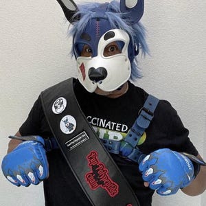 May include: A person wearing a blue and white dog-themed mask with matching ears and blue gloves. The person is also wearing a black shirt and a black sash with the text "Pup Polypeptide Chain". The gloves have a flame design.