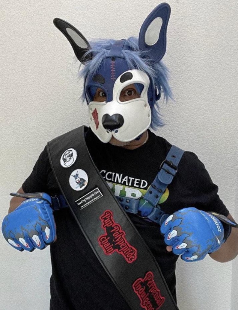 Puede incluir: Una persona con una m&aacute;scara azul y blanca con tem&aacute;tica de perro con orejas a juego y guantes azules. La persona tambi&eacute;n lleva una camiseta negra y una faja negra con el texto "Pup Polypeptide Chain". Los guantes tienen un dise&ntilde;o de llama.