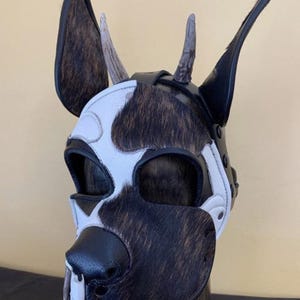 May include: A black, white, and brown leather dog mask with faux fur accents. The mask features large, upright ears, a snout, and small horns. The mask is designed to fit over the face and head.