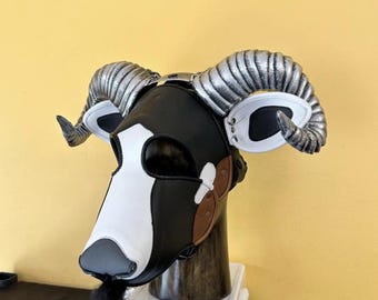 Amerikaans zwartbuikschaap/ram