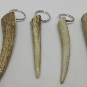 3 Keyrings With Real Deer Antler Tips