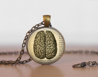 VINTAGE ANATOMY BRAIN  Pendant Necklace / The Brain  / Gift for Her / Gift For Doctor / Antique Brass Necklace / Neurosurgeon / gift for her