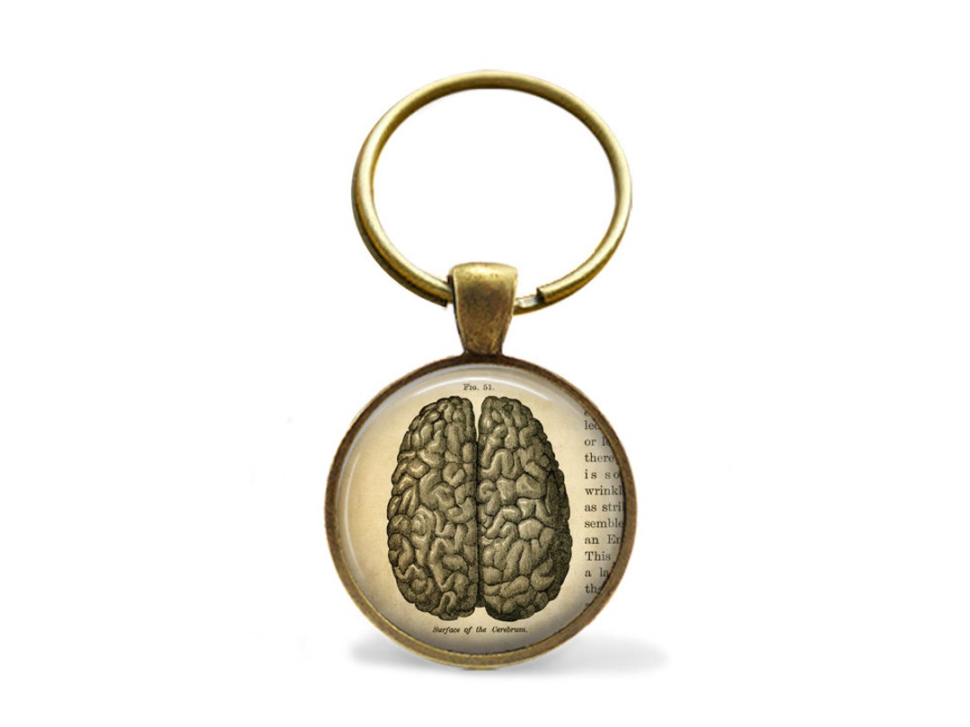THE BRAIN KEYCHAIN / Vintage Anatomy Keychain / Brain Key Ring / Gift ...