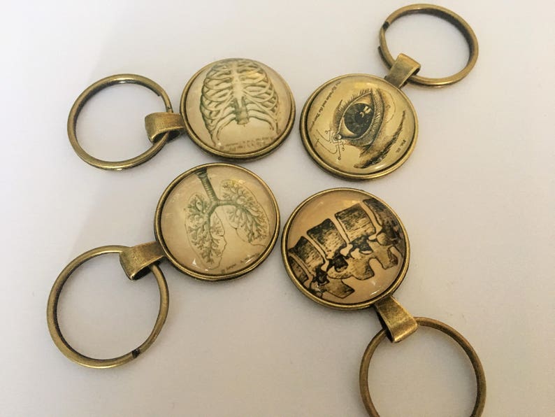 ANATOMY KEYCHAIN / Gift for Doctor / Medical Field Gift / Etsy