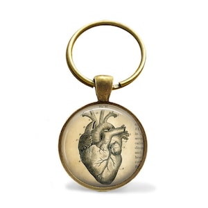 May include: A bronze key chain with a round glass charm featuring a vintage anatomical illustration of a human heart.
