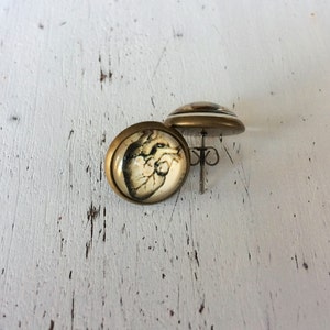May include: A pair of gold-toned stud earrings with a glass cabochon featuring a detailed anatomical heart illustration.