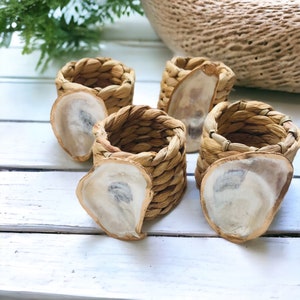 Oyster Shell Napkin Rings / Coastal Theme / Gold Gilded / gift boxed