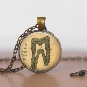VINTAGE ANATOMY TOOTH  Pendant Necklace / The Teeth  / Gift for Her / Gift For Dentist / Antique Brass Necklace / Tooth Illustration gift