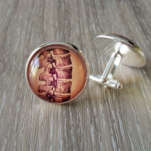 VINTAGE ANATOMY  Silver Cufflinks// The SPINE // Gift for Him // Gift For Chiropractor or Spinal Surgeon // 2 Sizes to choose from
