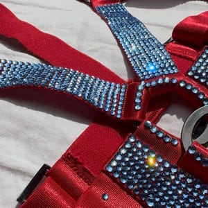 May include: A red harness with blue rhinestone accents. The harness features multiple straps and a silver-colored buckle. The blue rhinestones are arranged in rows along the straps, adding a touch of sparkle.