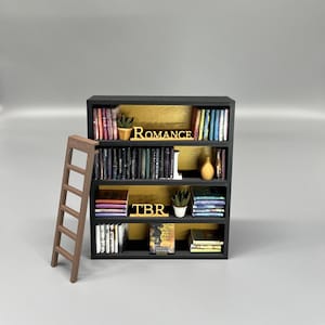 Mini estantería decorativa con 50 libros pequeños / Exhibición de biblioteca pequeña / Regalo para amantes de los libros