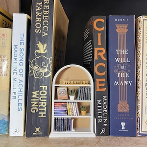 Miniature bookcase styled between real books for scale reference