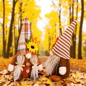 Puede incluir: Dos gnomos con temática otoñal con largas barbas blancas y sombreros puntiagudos. Uno tiene un sombrero a cuadros con un girasol y el otro un sombrero a rayas. Llevan trajes marrones y están rodeados de hojas de otoño.