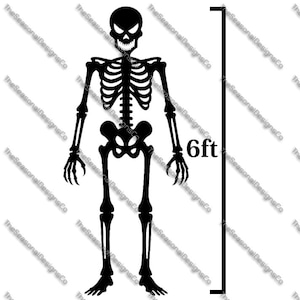 Skeleton 6ft Template Printable trace and Cut Halloween Silhouette Decor Templates / Stencils. PDF