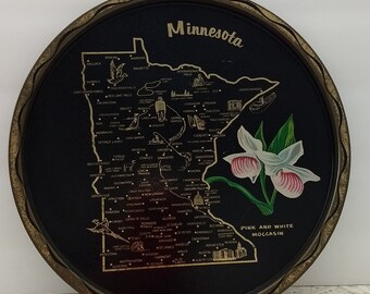 Fun Vintage Metal Minnesota State Tray