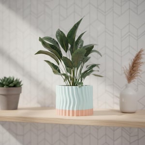 Puede incluir: Una planta en maceta con hojas verdes grandes en una maceta ondulada de color azul claro y melocotón. Una pequeña suculenta en una maceta marrón y un jarrón con hierba seca también están en una estantería de madera. El fondo tiene un patrón geométrico blanco.