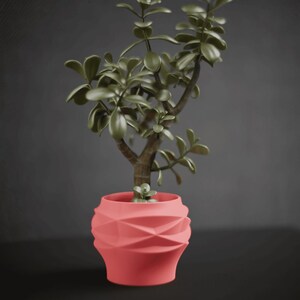 May include: A jade plant with thick, dark green, oval-shaped leaves and a woody stem, potted in a coral-coloured planter. The planter features a geometric, faceted surface with a series of triangular indentations around its exterior.