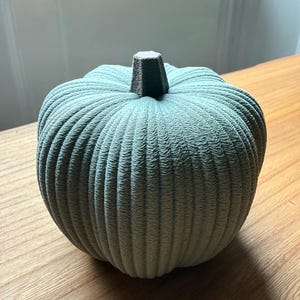 May include: A sage green pumpkin sculpture featuring a distinct ribbed texture across its rounded body. The pumpkin has a dark grey, textured stem at the top centre. The surface of the pumpkin displays a fine, layered pattern consistent with 3D printing.