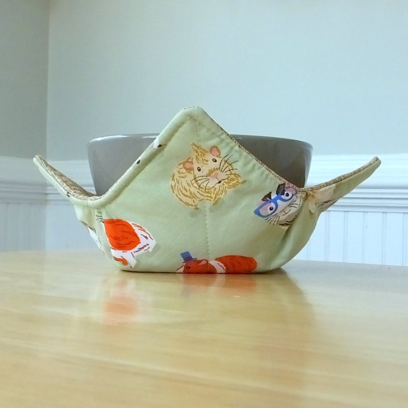 Guinea Pig Bowl - Etsy