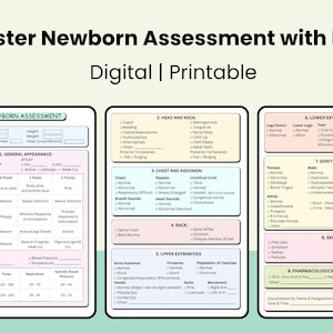 Newborn Head To Toe Assessment Nursing Template, Neonatal Report Sheet, Study guide, Nurse Checklist