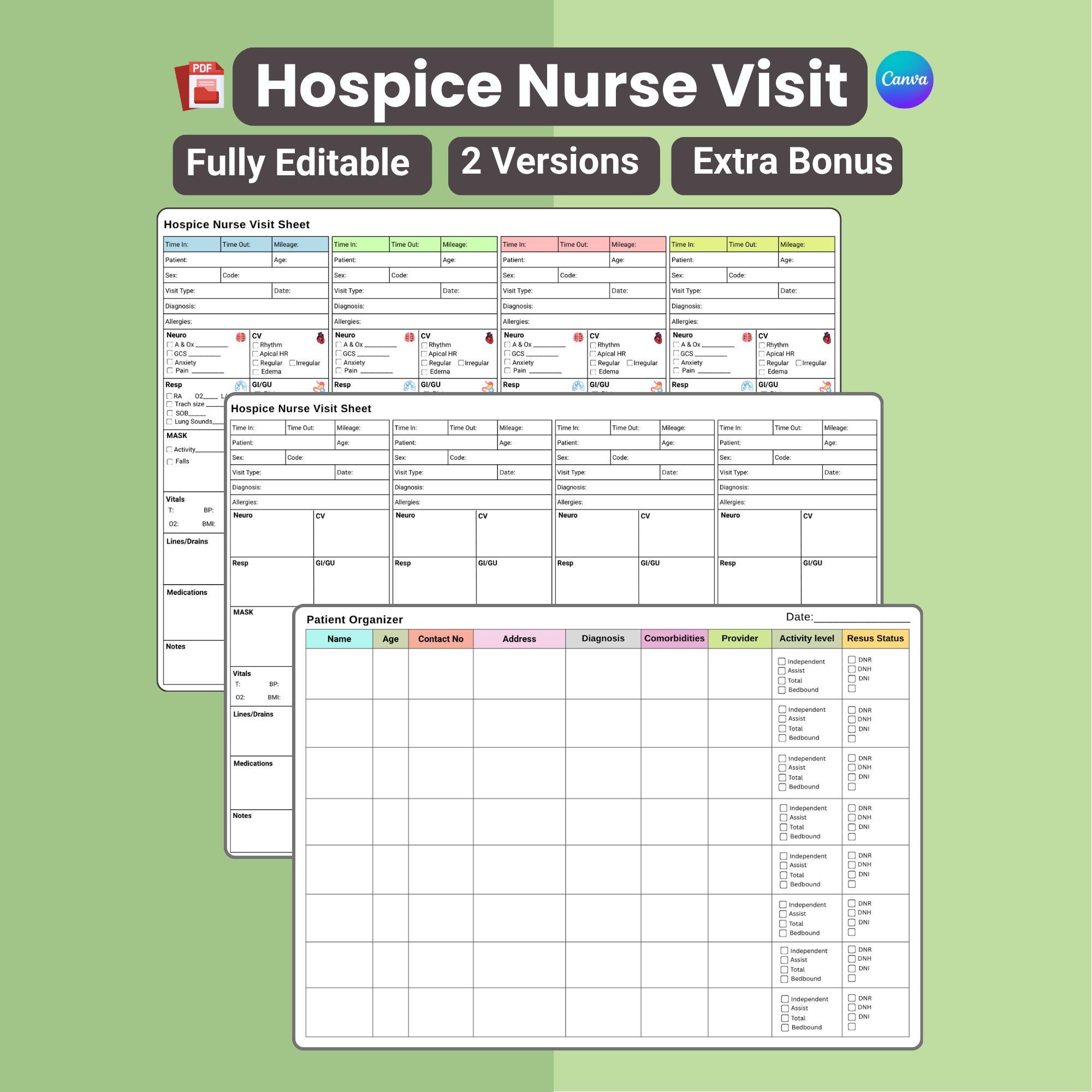 Editable Hospice Nurse Visit Sheet | Home Health Template (canva) - Etsy