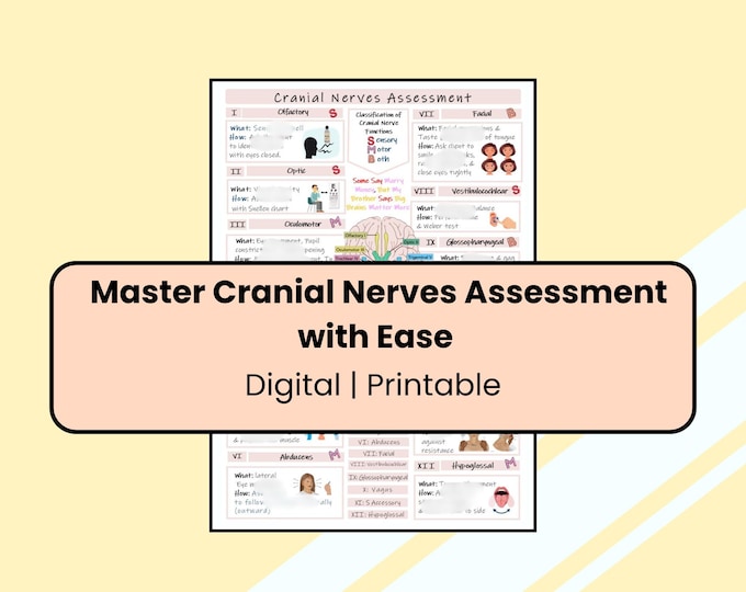Cranial Nerves Chart: Colorful Hand-drawn Study Guide (digital Download ...