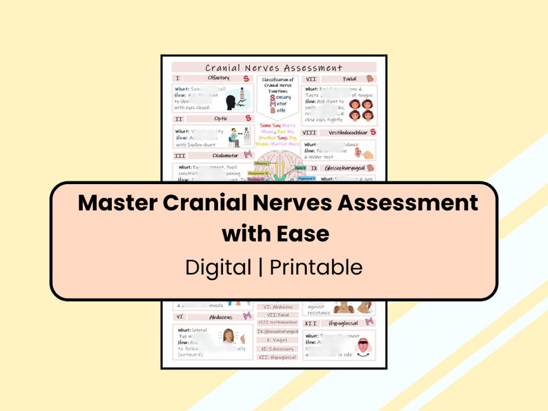 Cranial Nerves Assessment Printable, Colorful Nursing Cheat Sheet (A4 ...