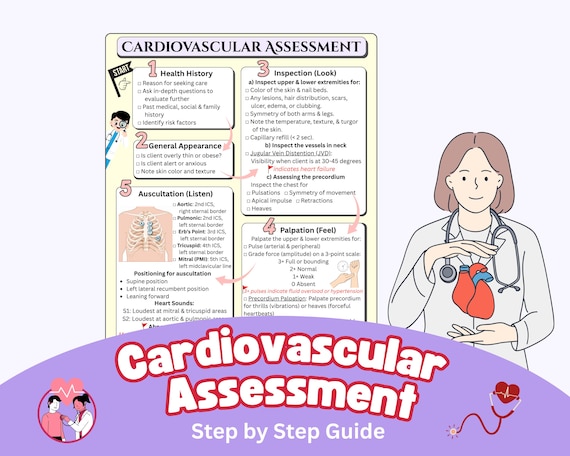 Cardiovascular Assessment Guide | 6-Step Physical Exam Cheat Sheet | A4 PDF Printable