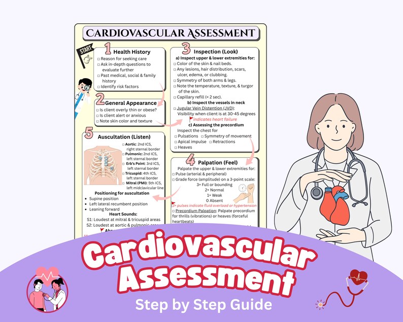 Cardiovascular Assessment Guide | 6-Step Physical Exam Cheat Sheet | A4 PDF Printable image 1