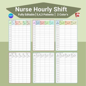 May include: A digital template for a nurse's hourly shift, with a grid layout for patient details and time tracking. The design includes the text "Nurse Hourly Shift" and "Fully Editable | 5,4,3 Patients | 2 Color's".