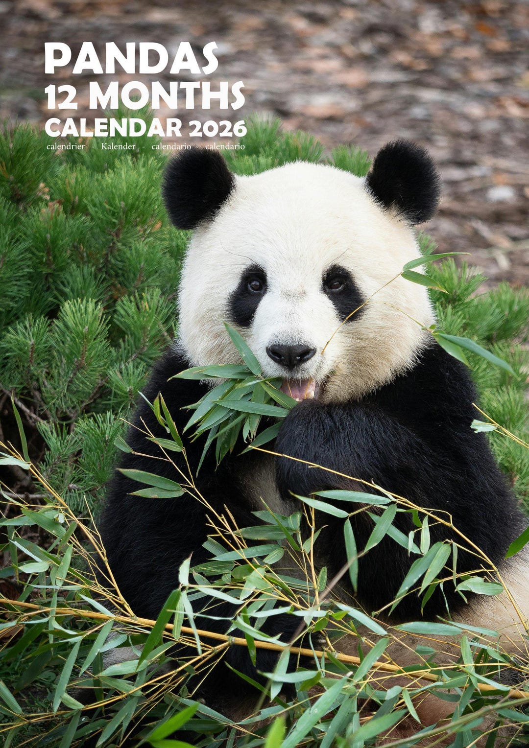 Panda A3 Calendars 2026 (M) - Etsy