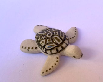 Little porcelain sea turtle