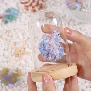 May include: A decorative glass dome with a wooden base encases a colorful, iridescent betta fish. The fish features shades of blue, purple, and pink. The dome is held by a person's hands, with a blurred background of seashells and pearls.