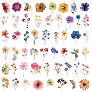 May include: A collection of colorful pressed flower stickers in various shapes and sizes. The stickers feature a variety of flowers in shades of red, purple, yellow, blue, and orange. Some stickers have a transparent background.