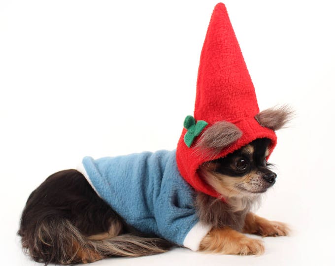 Dog Costume, cute Gnome dog costume for Halloween, small dog clothes, garden gnome dog hoodie, chihuahua shirts