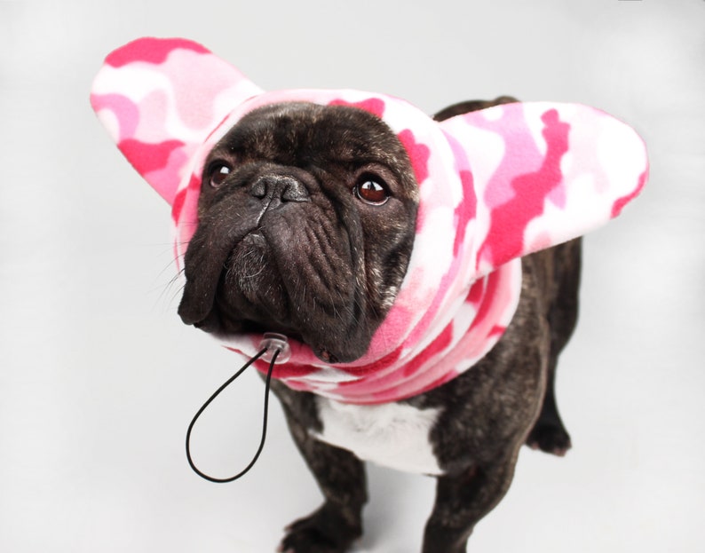 camo dog hat